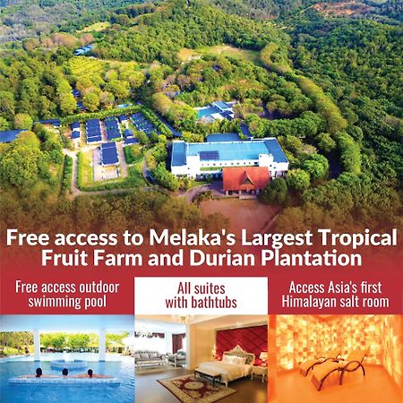 The Orchard Resort & Spa Melaka I World Spa Awards Winner I Free Access To Outdoor Spa Pool Lubuk Cina Extérieur photo