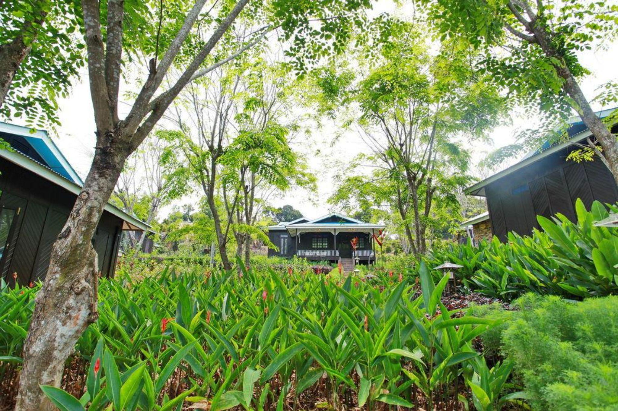 The Orchard Resort & Spa Melaka I World Spa Awards Winner I Free Access To Outdoor Spa Pool Lubuk Cina Extérieur photo